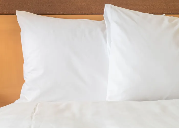 Express By Ihg Tallahassee